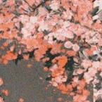 Vai diễn quần chúng