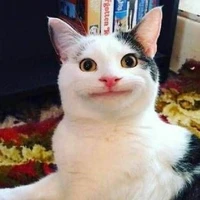 tác giả