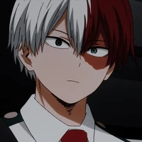 Shoto Todoroki