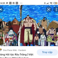 Bâng râu trắng