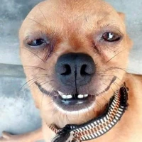 Con tác giả lô lem
