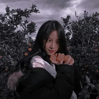trà xanh vân