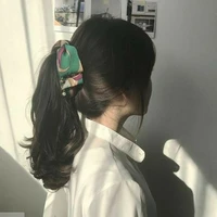 Hạ Anh Tâm