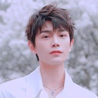 Đinh Vũ Hề