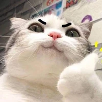 bà tác giả bụi đời