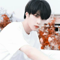 Lưu Diệu Văn