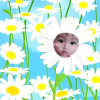 tác giả cute