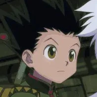Gon Freecss
