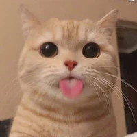 TG