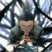 Nara Shikamaru