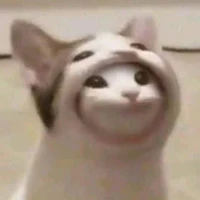 Coan tác giả ăn hại =))