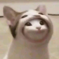 Coan tác giả ăn hại =))