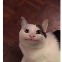 Tác giả