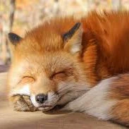 Thiên Cửu / Cáo Hắc Ám