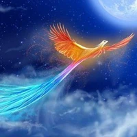 Kyu_phượng hoàng lửa-băng