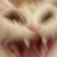 ????