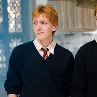 Fred Weasleys
