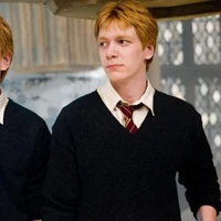 George Weasleys