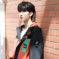 Nghiêm Hạo Tường