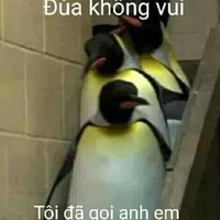 mọi người