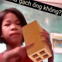 Bác Bảo Zệ