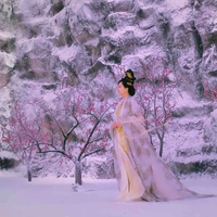 Ly Sơn thánh mẫu
