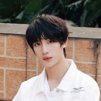 Đinh Trình Hâm(🦊)