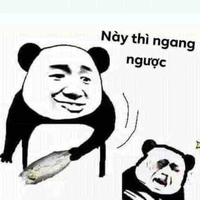 Tác giả bán muối