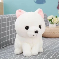 Cục bông trắng