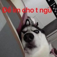 t/g