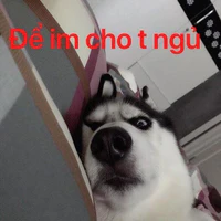 t/g