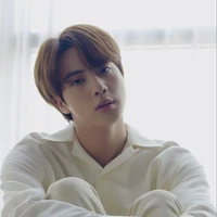 Kim Seok Jin