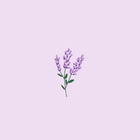 All