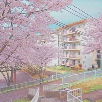 ⋆𝒁𝒐𝒅𝒊𝒂𝒄 𝑺𝒄𝒉𝒐𝒐𝒍⋆