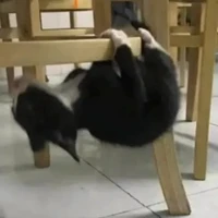 Quần chúng ăn dưa