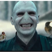 Voldemort
