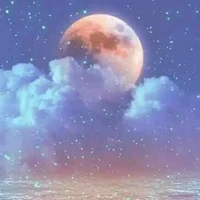 tác giả ( lâm tân A )