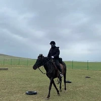 Đinh Trình Hâm a 2*Đặng Giai Hâm