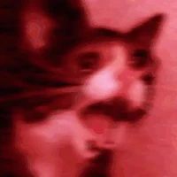 Chi