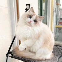 Fortunato
