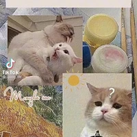 tác giả lười