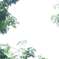 thầy giáo