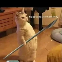 Tác giả nè 𓆩😆𓆪