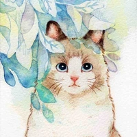 Mèo 😼 