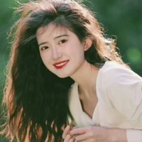 Lý Tiểu Lê