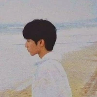 Lưu Diệu Văn