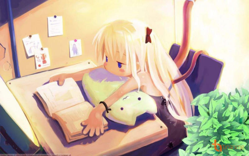 NovelToon