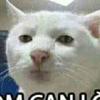 bà mười hàng xóm