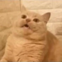 Bí mật nhân vật