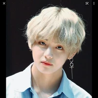 Kim Taehyung ( V )